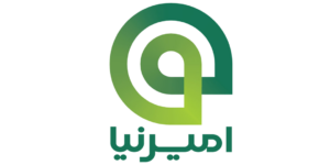 امیرنیا